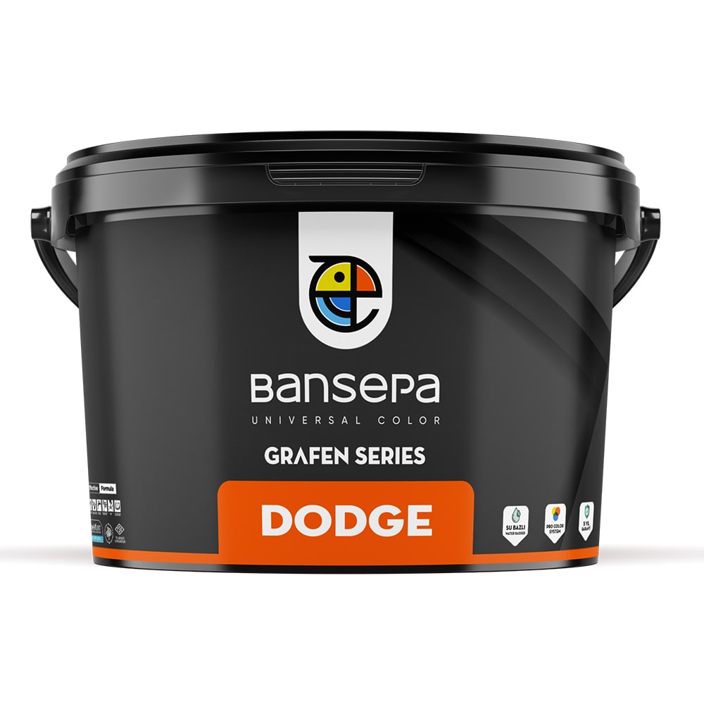 Dış Cephe Boyası